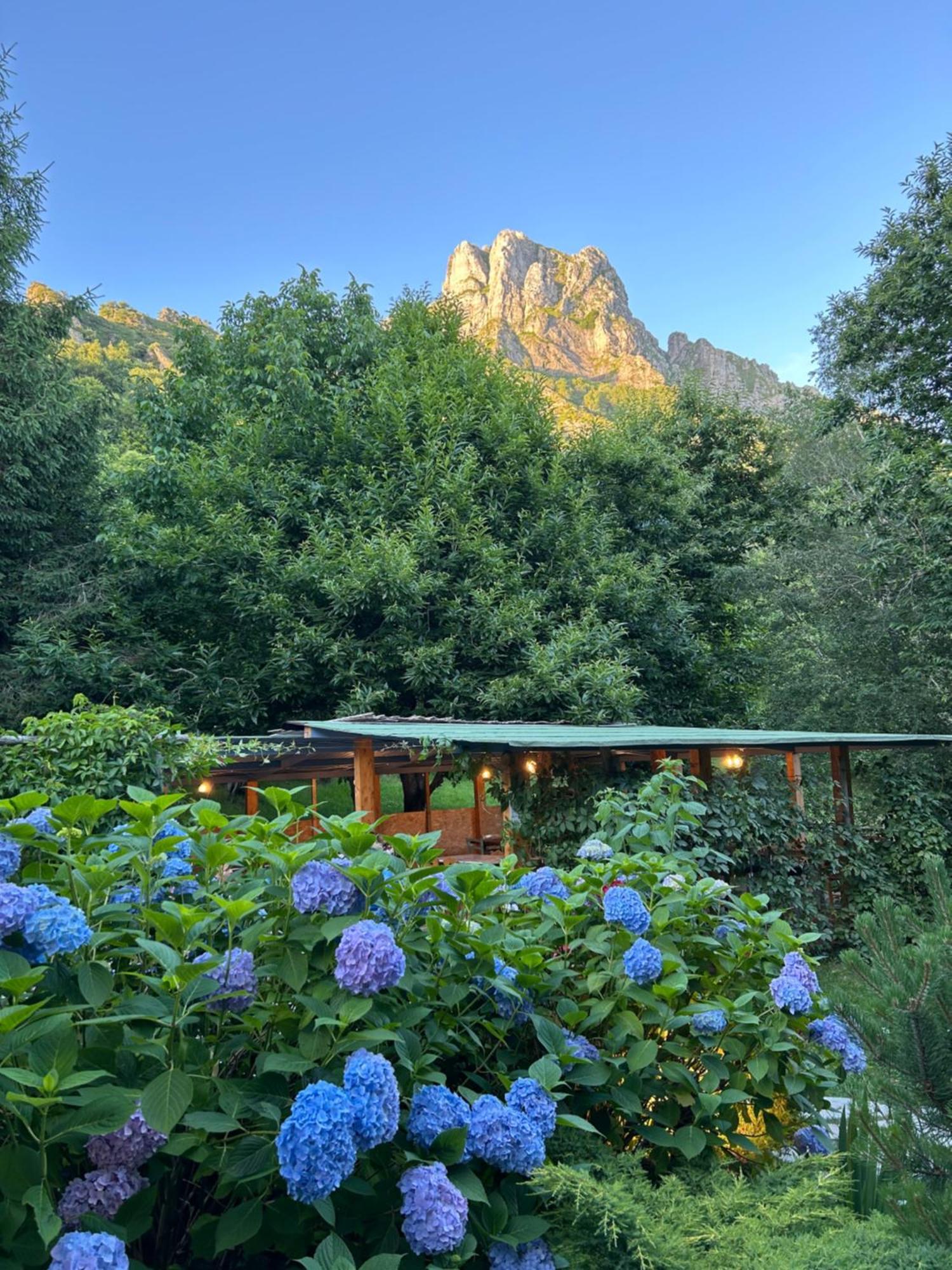 Art Hotel П'єтразанта Екстер'єр фото